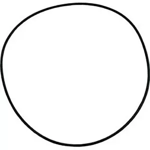 O-Ring Depot Fits and Compatible with Jacuzzi H & L Strainer Pump O-ring - Picture 1 of 2