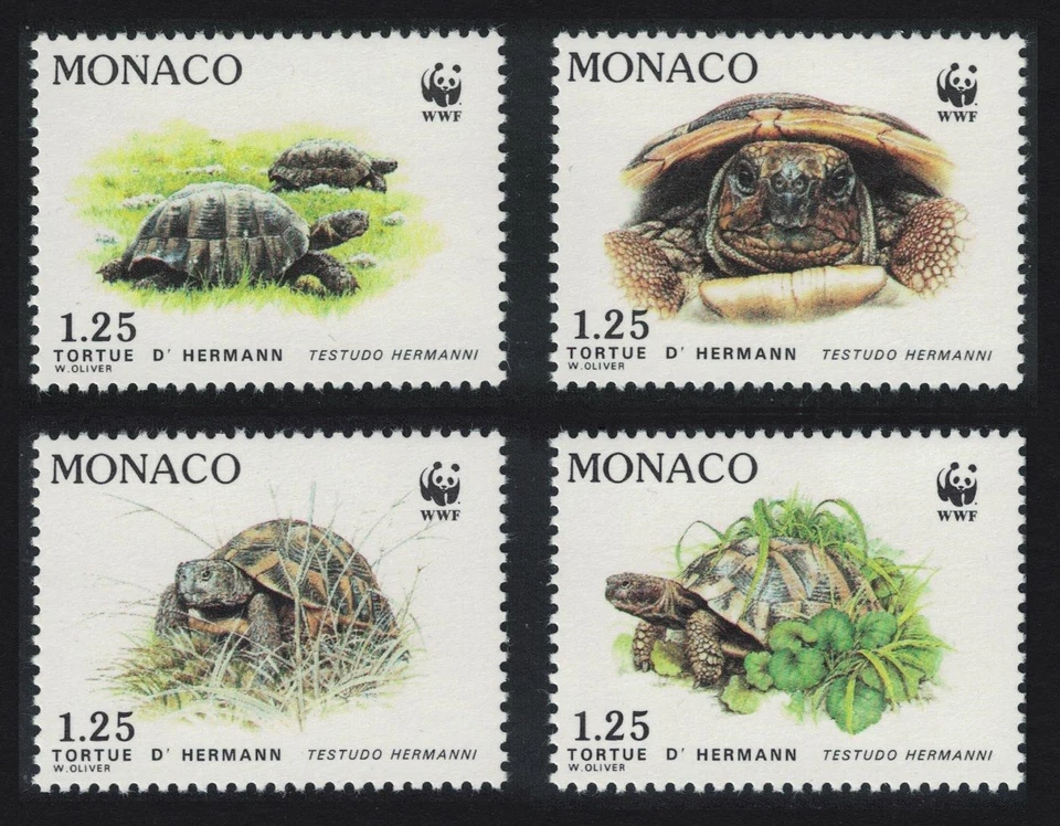 Monaco WWF Hermann's Tortoise 4v 1991 MNH SG#2048-2051 MI#2046-2049 Sc#1778-1781 - Image 1 of 1