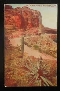 1910s Cactus Wagon Horses Road to Roosevelt AZ Gila Co Postcard Arizona - Picture 1 of 1