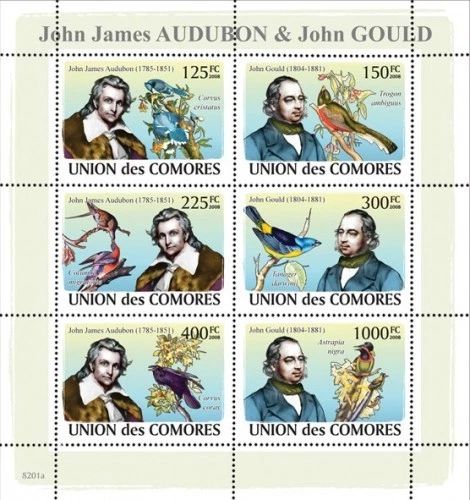 Birds J.J. Audubon & J. Gould m/s Comores Comoros 2008 m/s MNH #CM8201a - Image 1 of 1