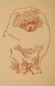 Pomeranian Dog Art Word Drawing Print #34 Kline draws your dogs name free. GIFT - Picture 1 of 12