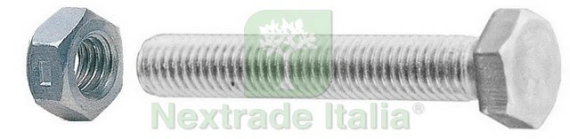 5SCATOLE SC VITI A METALLO TESTA ESAGONALE 4X40 C DADI (PZ.20): - Immagine 1 di 1