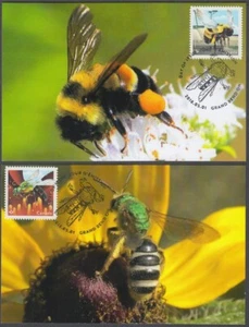 CANADÁ #3099-01.1 MOSTRANDO ABEJAS en JUEGO DE 2 TARJETAS MÁXIMAS - Imagen 1 de 1