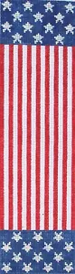 Patriotic Eyeglass Case Hand Painted Needlepoint Canvas - Picture 1 of 1