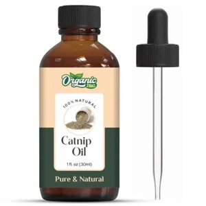 Organic Zing Catnip Oil For Hair And Skin Massage 30ml Bottle - Picture 1 of 8