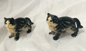 Vintage Zelluloid Langhaar Katzen blaue Augen (z292) - Bild 1 von 3