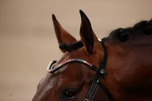 Ice Equestrian Sparkly Browband Real Italian Leather. Full - Brown - Picture 1 of 7