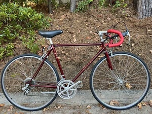 Vintage Japanese Suteki Track 10 Road Bike 54cm Frame Shimano 600 Burgundy - Picture 1 of 24