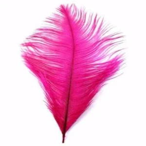Pluma de avestruz drab 6-15 cm x 5 - Cerise ((SEGUNDOS)) - Imagen 1 de 1
