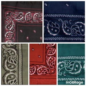 Sciarpa western bandana Wyoming Traders Wild Rag 100% seta 20", 34,5", 42" - Foto 1 di 11