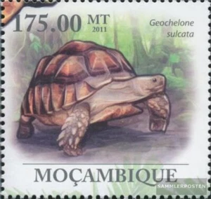 Stamps Mosambik 2011 Mi 4321 MNH 2011 Turtles (Geochelone sulcata) - Picture 1 of 1