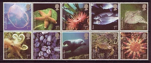 GRAN BRETAÑA 2007 SEALIFE BLOQUE DE 10 SIN MONTAR COMO NUEVO, MNH - Imagen 1 de 1