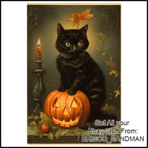 Divertido imán refrigerador HALLOWEEN vintage gato negro con calabaza retro - Imagen 1 de 8