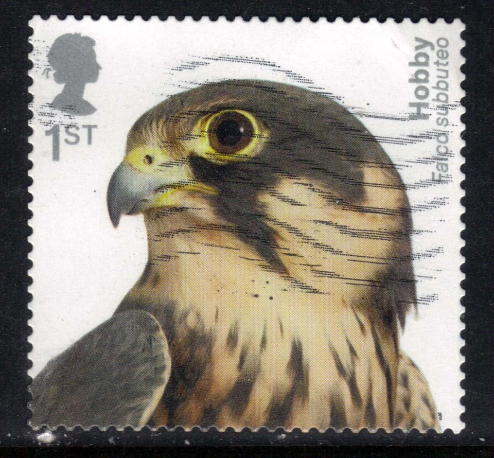 GB 2019 QE2 1st Birds of Prey Hobby used Self Adhesive CV £15 SG 4211 ( F799 ) - Image 1 of 1