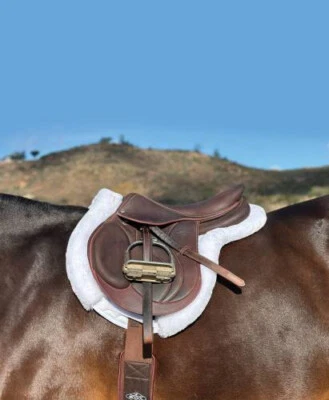 Almohadilla de exhibición Professional's Choice VenTech Hunter - blanca Foto 1 de 3