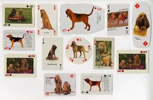 COLECCIÓN BLOODHOUND DE CARTAS VINTAGE DE UN SOLO PERRO - Imagen 1 de 1