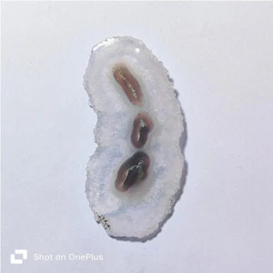 Natural Solar Quartz Cabochon Stalactite Slice Gemstone Jewelry 170 Cts ME-9097 - Picture 1 of 3
