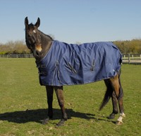 Asker 200g Mediumweight Standard Neck Horse Outdoor Turnout Rug 600d Ebay