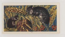 1964 Ringtons Do You Know? Tea Which is the Smallest Mouse #21 z6d