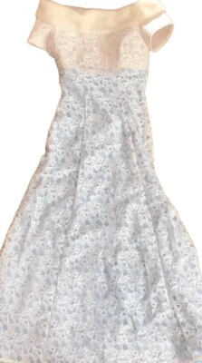 Disney Deluxe Princess Blue Lace Fur Elsa Cinderella Dress Costume Womens Large  - Image 1 of 4