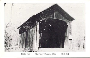 Postcard Wheeling Township Ohio Birds Run Guernsey County RPPC Vintage Unposted - Imagen 1 de 2
