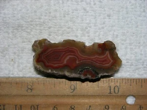 Laguna agate geode cut and polished Mexico 1 x 2 inch G238 - Picture 1 of 1