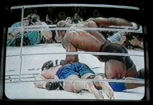 Maxell T120 Pride Fighting Championships Gracie Severn Kimo Kurosawa Japan 1997 - Picture 1 of 12