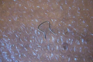 03-08 OEM Nissan 350Z  Infiniti G35 G35X FX35 FX45 Shift Knob Holding Ring - Picture 1 of 1