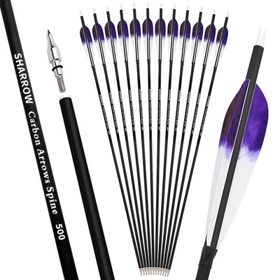 28" 30" 31" Archery Carbon Arrows SP500 Feather Screw-in Tip Recurve Bow Hunting - Image 1 of 4