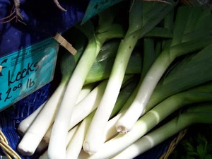 400 SEEDS - leek, LARGE AMERICAN FLAG LEEKS GroCo USA - BUY 15-SHIPS FREE - Picture 1 of 1