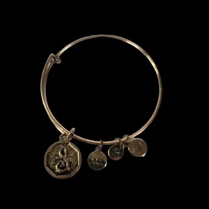 Bangle Bracelet 2.5" Rafaeli Alen And Ani Bronze Positivity - Picture 1 of 6