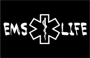 Two EMS Life Car Decals Star Of Life Ambulance Decal Vinyl Window Sticker  - Picture 1 of 2