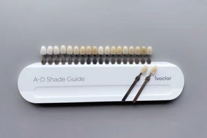 1Set Dental Teeth AD Shade Guide Ivoclar Vivadent Porcelain Material 20Color - Picture 1 of 4