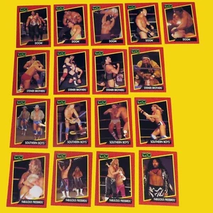 1991 Impel WCW Wrestling 17 Cards Doom Steiner Bros. Southern Boys Fab Freebirds - Picture 1 of 5