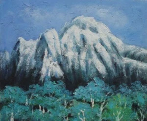 20x24 Bosque Verde Bajo Nieve Montaña Pintura al Óleo Impresionismo Paisaje Árbol - Imagen 1 de 1