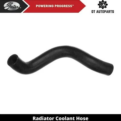 For 2005-2006 Chevrolet Uplander 3.5L V6 GAS Radiator Coolant Hose Lower Gates - Image 1 of 4