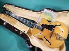 D'Angelico NYL-2 Anniversary Hand Paint 2005 Electric Guitar