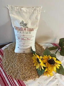 Hard white winter wheat berries 3 lb. - Picture 1 of 5