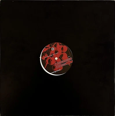 THROWING MUSES – From The Forthcoming Album "The Real Ramona" 12” promo sampler - Image 1 of 3