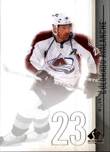 2010-11 SP Authentic #8 Milan Hejduk