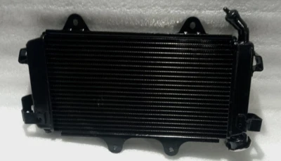 Radiador completo sin ventilador apto para KTM DUKE 390 modelo 2017-2020 Foto 1 de 4