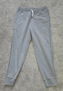 North Face Men’s Medium Joggers Heather Gray Sweatpants Outdoors Hiking - Picture 1 of 10