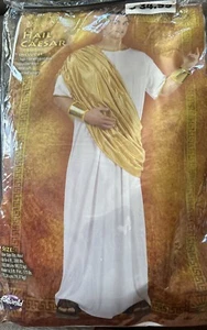 Mens Julius Caesar Halloween Costume - Picture 1 of 3