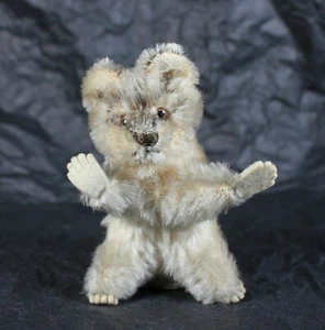 Steiff  4310/00 Racoon RACCY - Imagen 1 de 11