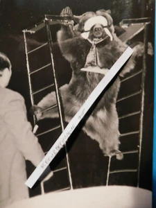 29121958 CIRQUE RUSSE PHOTO CIRQUE DRESSEUR D OURS  VALENTIN  FILATOFF  - Picture 1 of 2