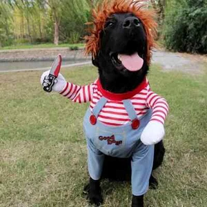 Chucky Pet Costumes & Dagger Toys For Medium & Large Dogs-Fetch Some Fun - Picture 1 of 8