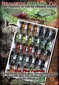 4 Cicada Realistic Fly Fishing lures - Picture 1 of 1