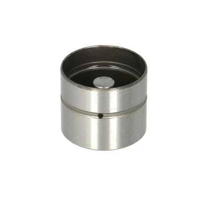 Punzone valvola INA 420 0118 10 - Immagine 1 di 2