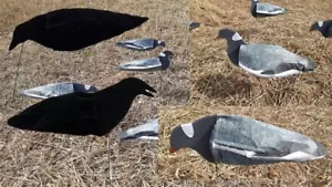 Pigeon & CROW Decoys set of 24 Sillosocks Decoys Harvester Packs - Picture 1 of 7
