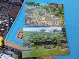 2 Vintage Unused "Guam" Real Photo Postcards Island History Ephemera Collectible - Picture 1 of 2